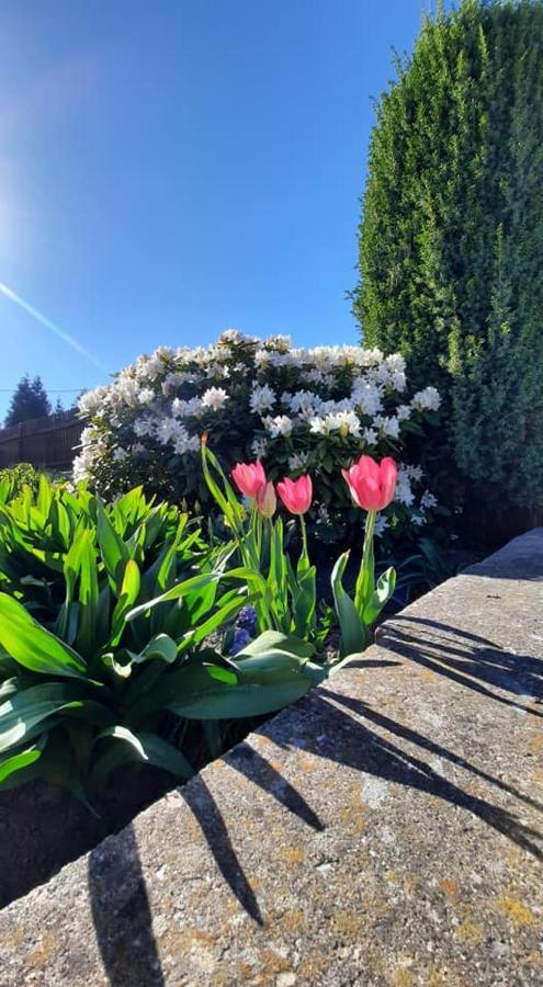 Penzion Novy Svet Krásno Dış mekan fotoğraf